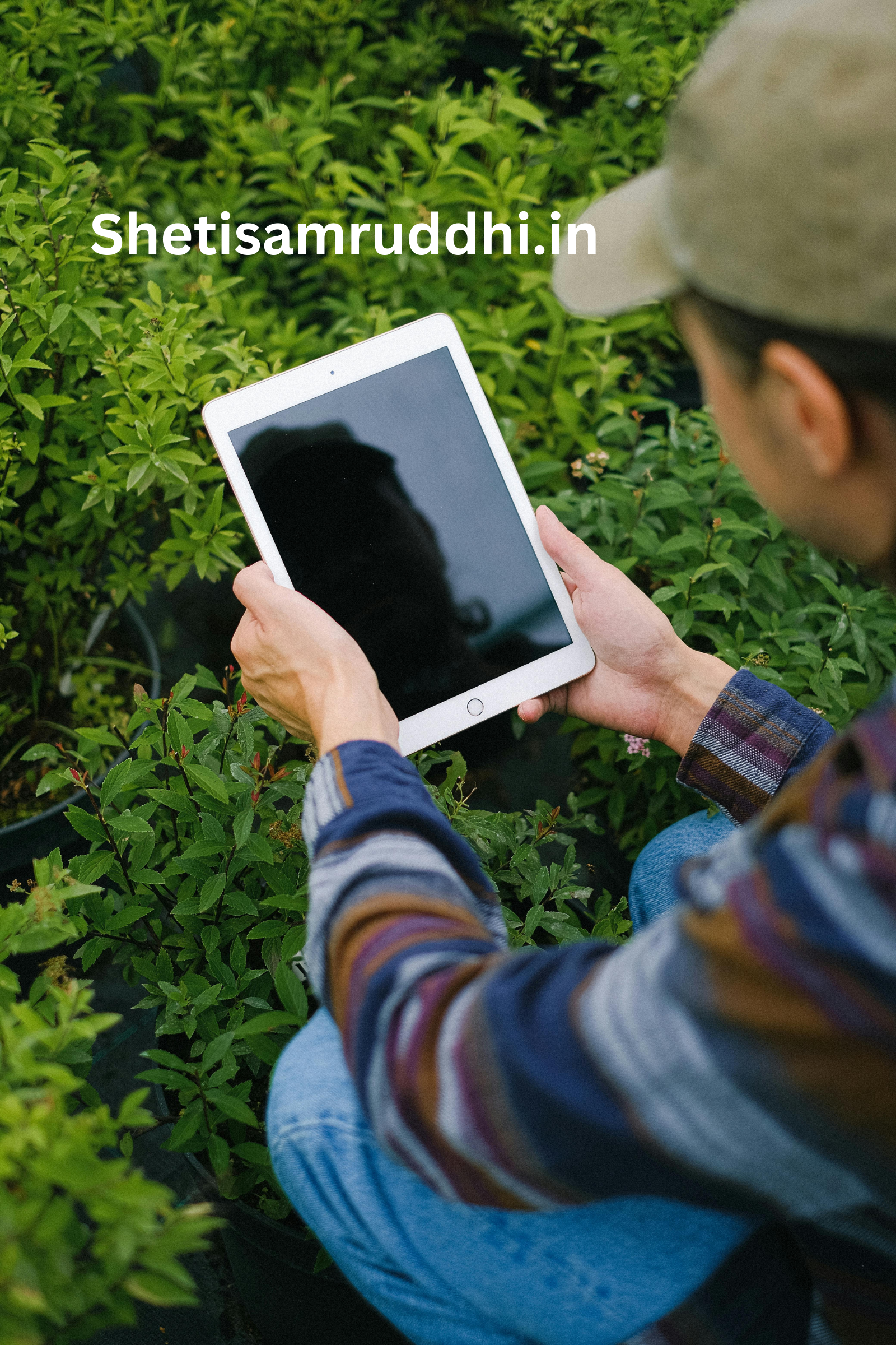 Artificial Intelligence (AI) in agriculture