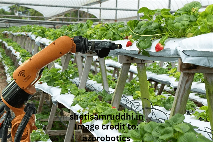 Future of Agriculture