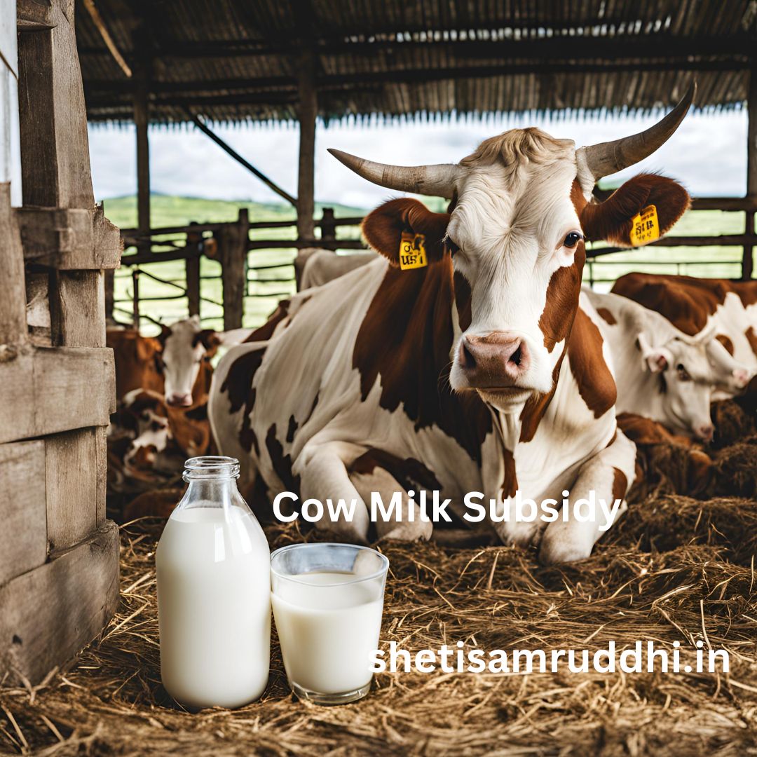 Cow Milk Subsidy