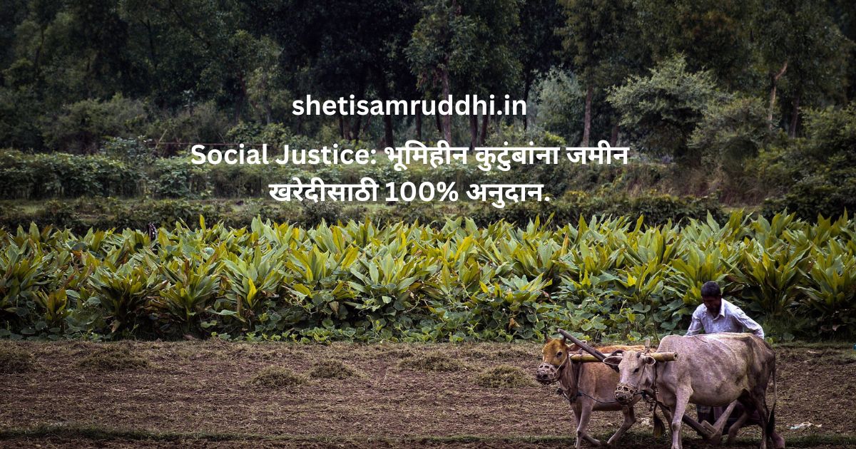 Social Justice