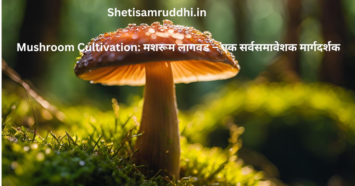 Mushroom Cultivation