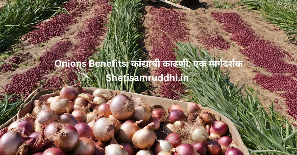 Onions Benefits