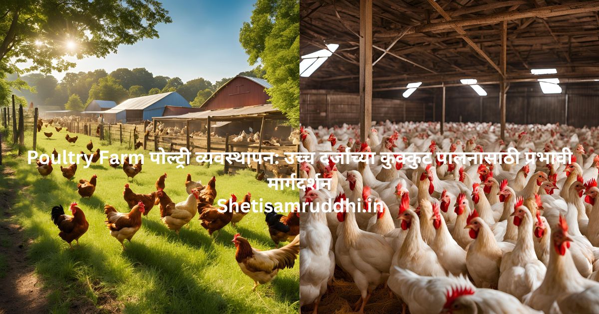 Poultry Farm