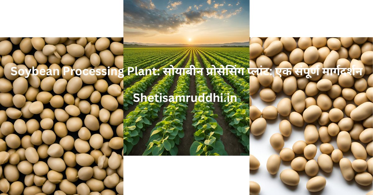 Soybean Processing Plant