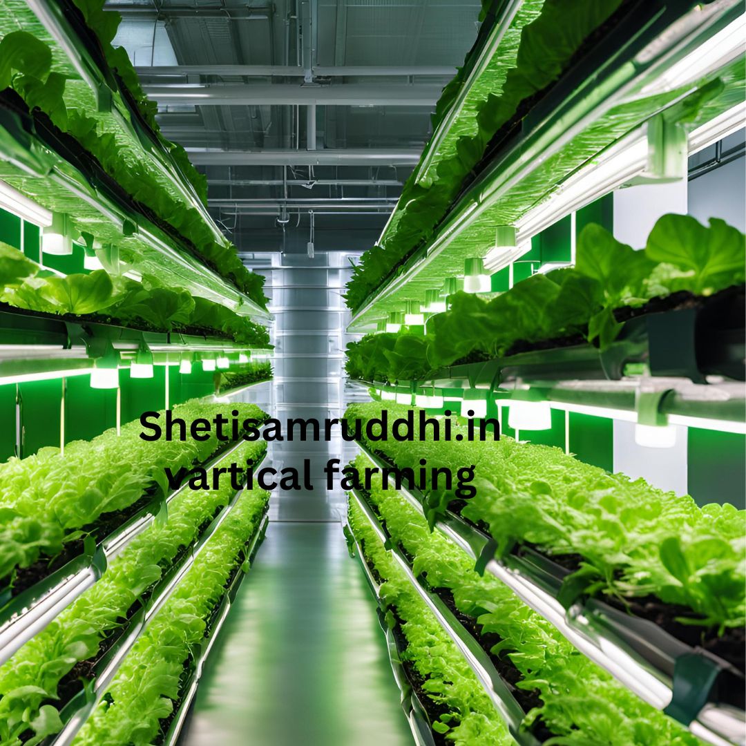 Vertical Farming