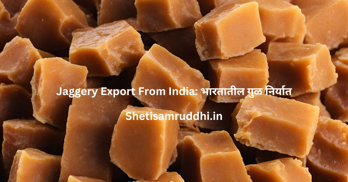 Jaggery Export From India