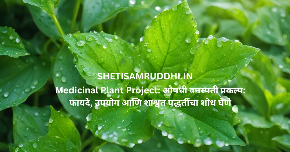 Medicinal Plant Project