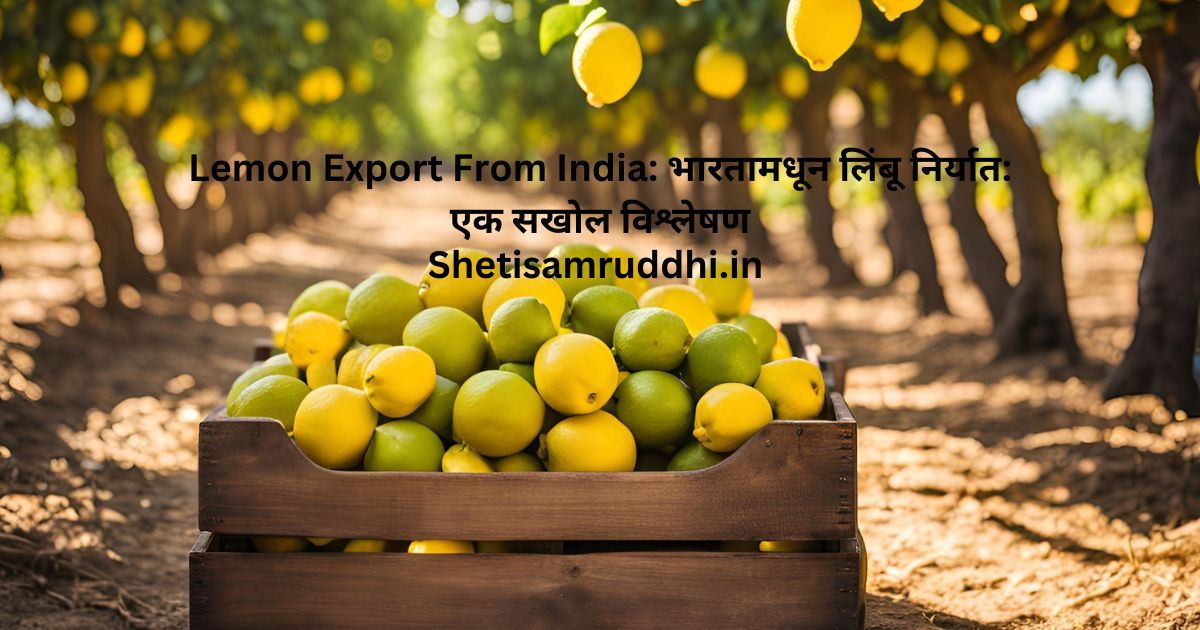 Lemon Export From India