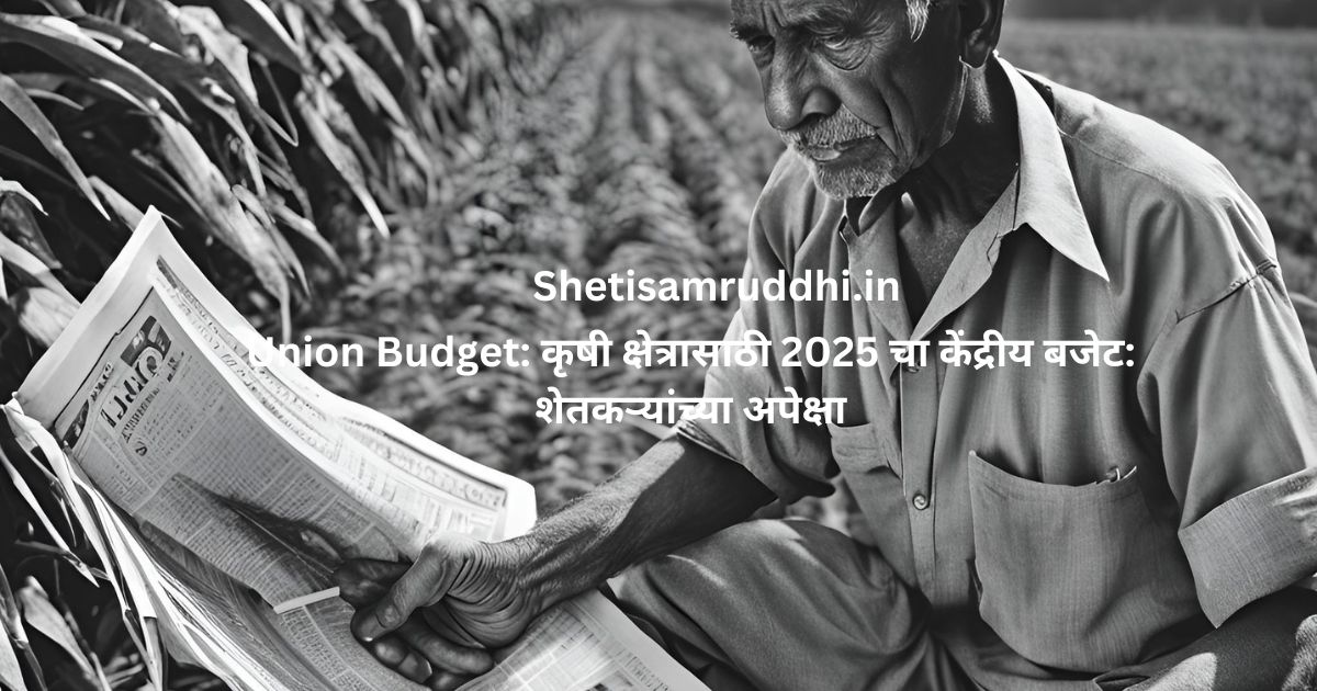 Union Budget