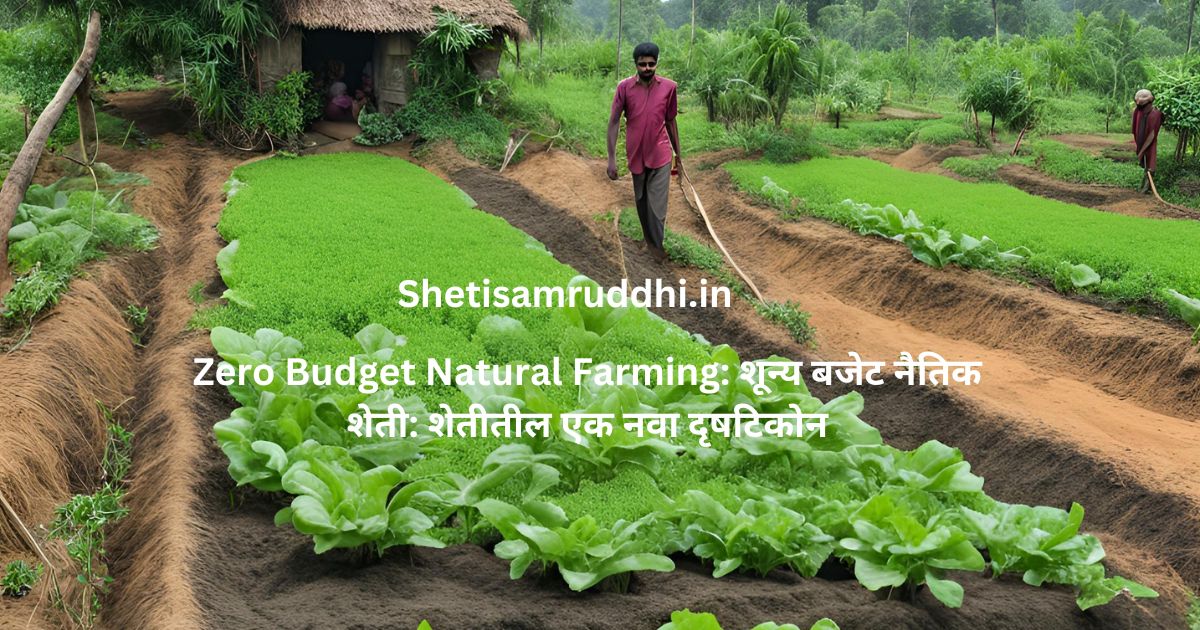 Zero Budget Natural Farming
