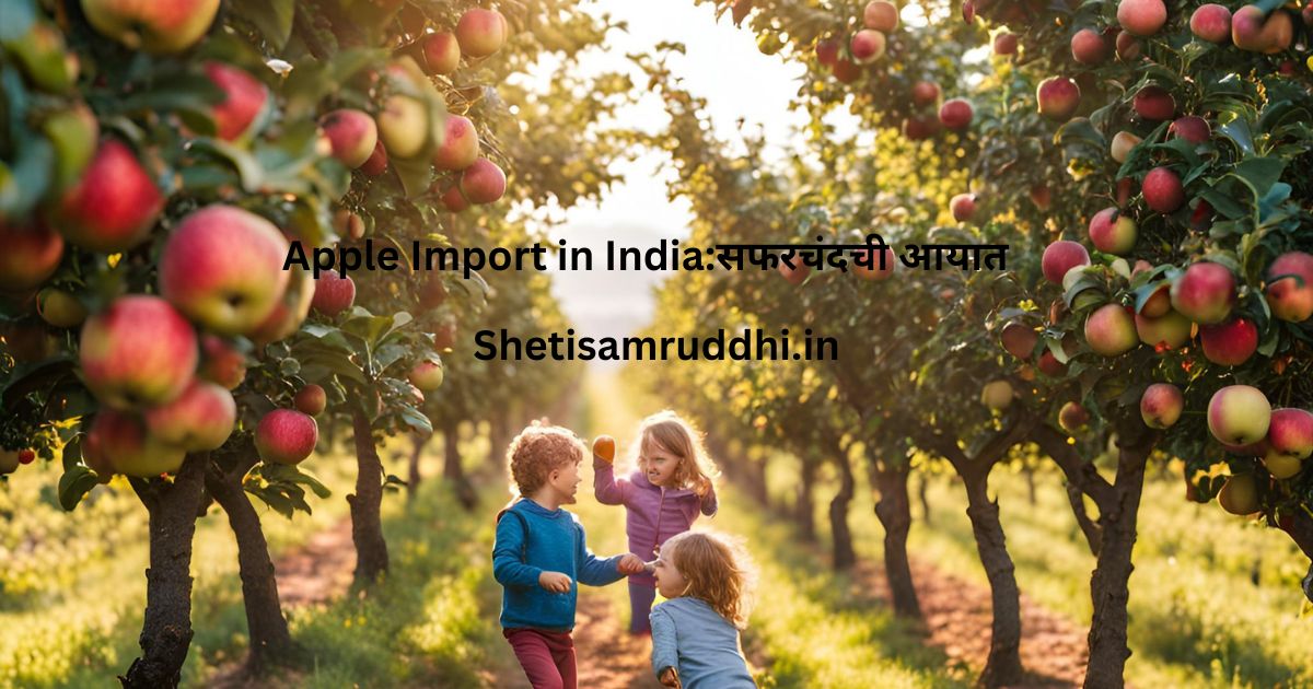 Apple Import in India
