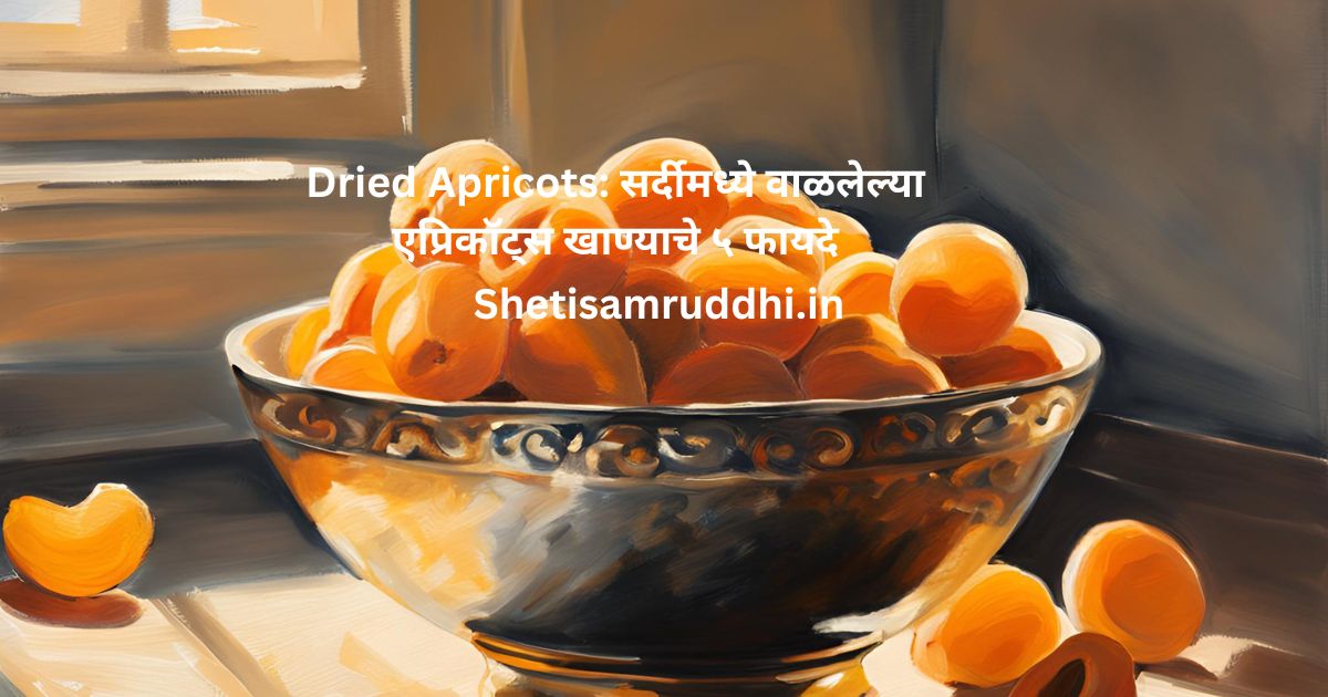 Dried Apricots