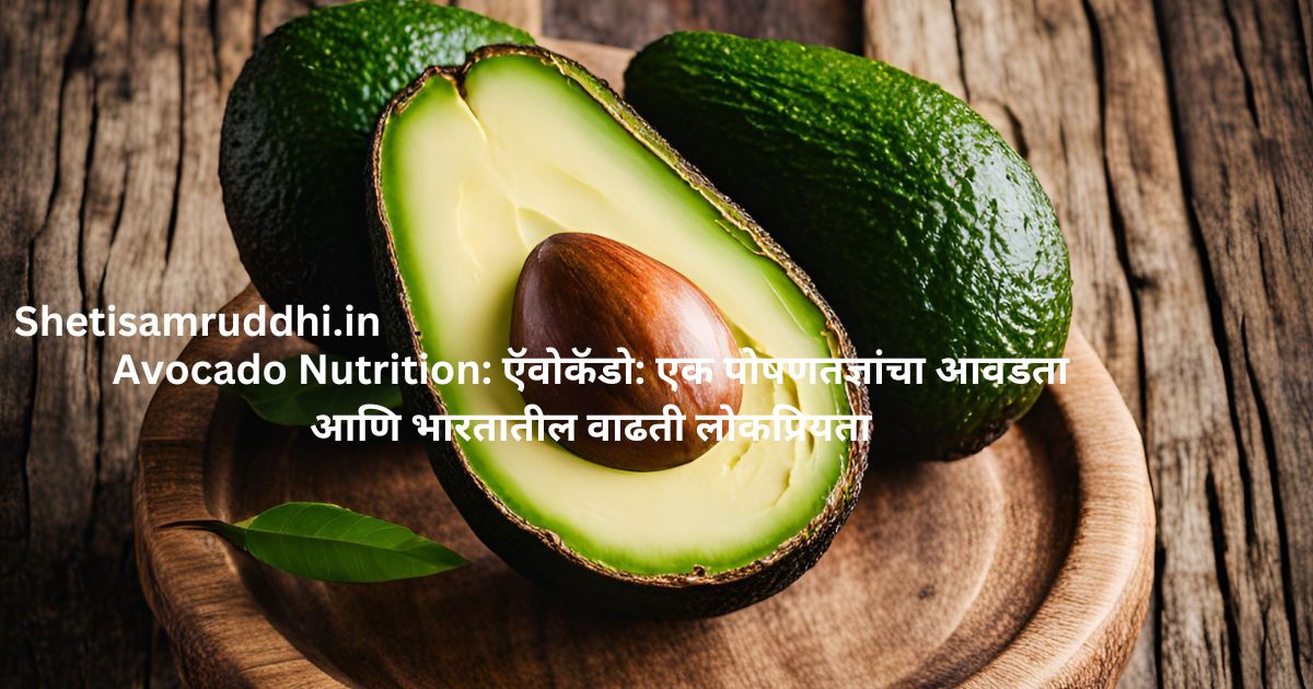 Avocado Nutrition