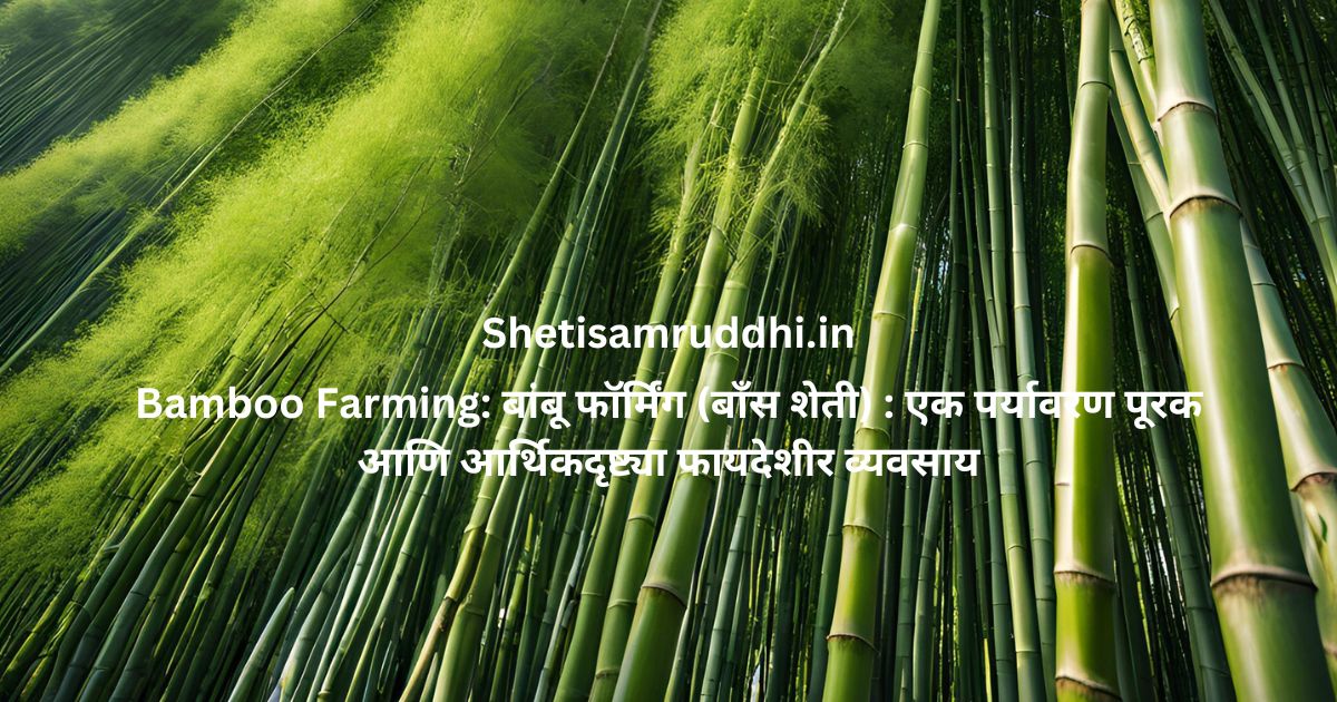 Bamboo Farming