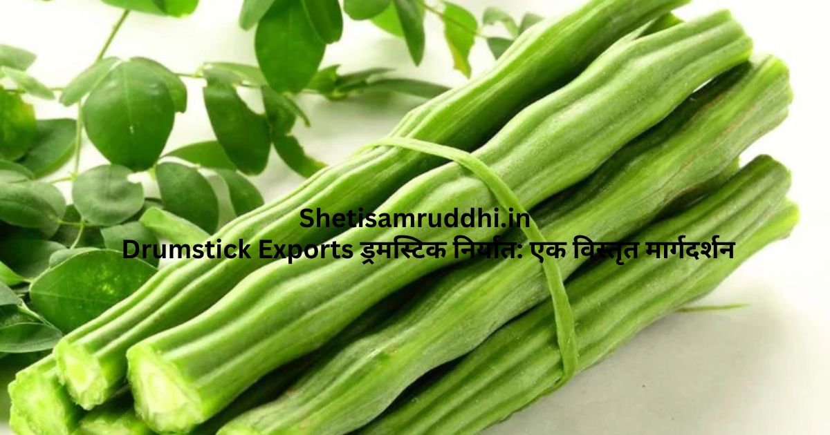 Drumstick Exports
