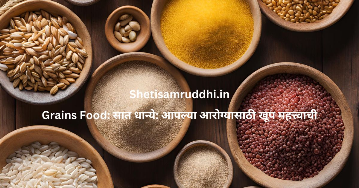 Grains Food