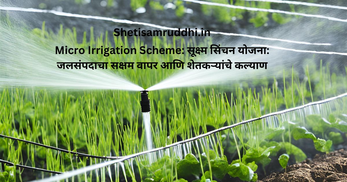 Micro Irrigation Scheme
