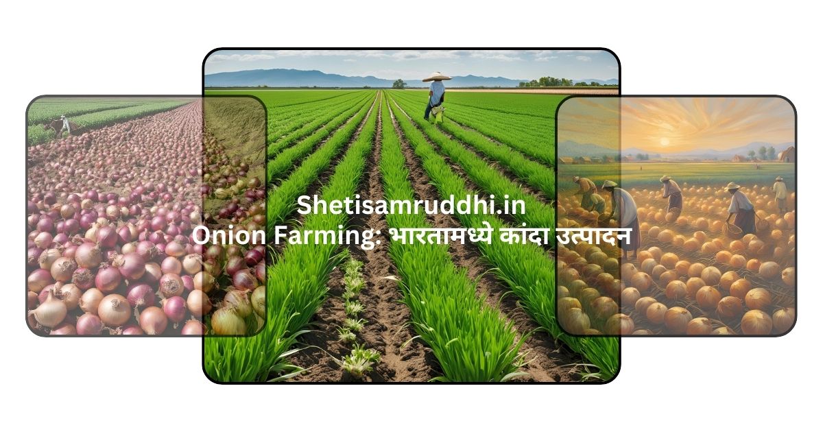 Onion Farming