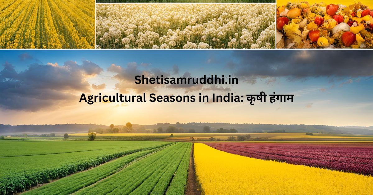 Agricultural Seasons in India