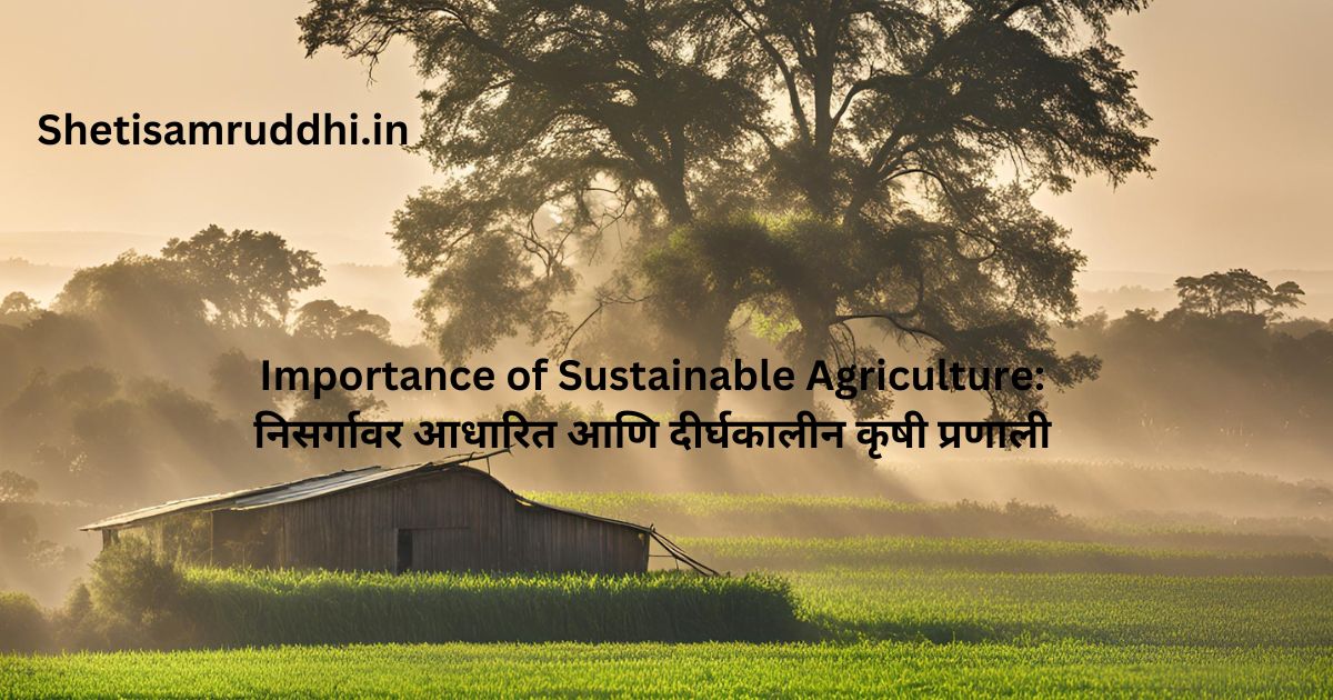 Importance of Sustainable Agriculture