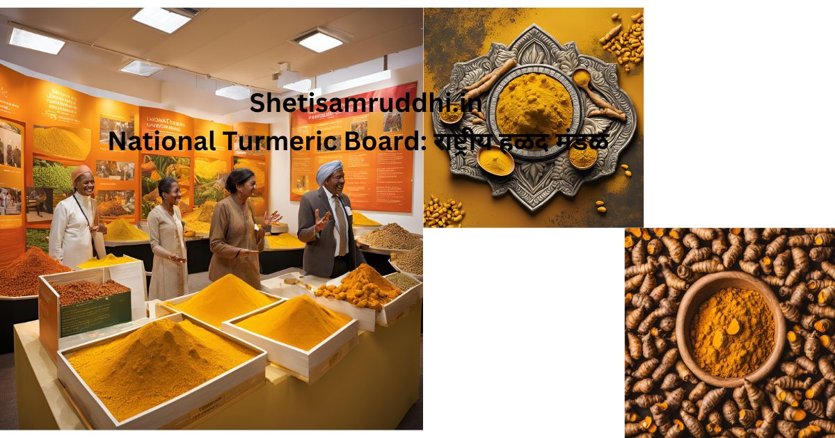 National Turmeric Board