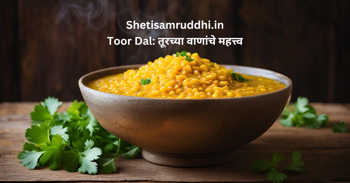 Toor Dal
