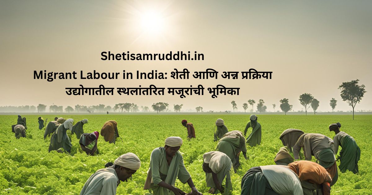 Migrant Labour in India